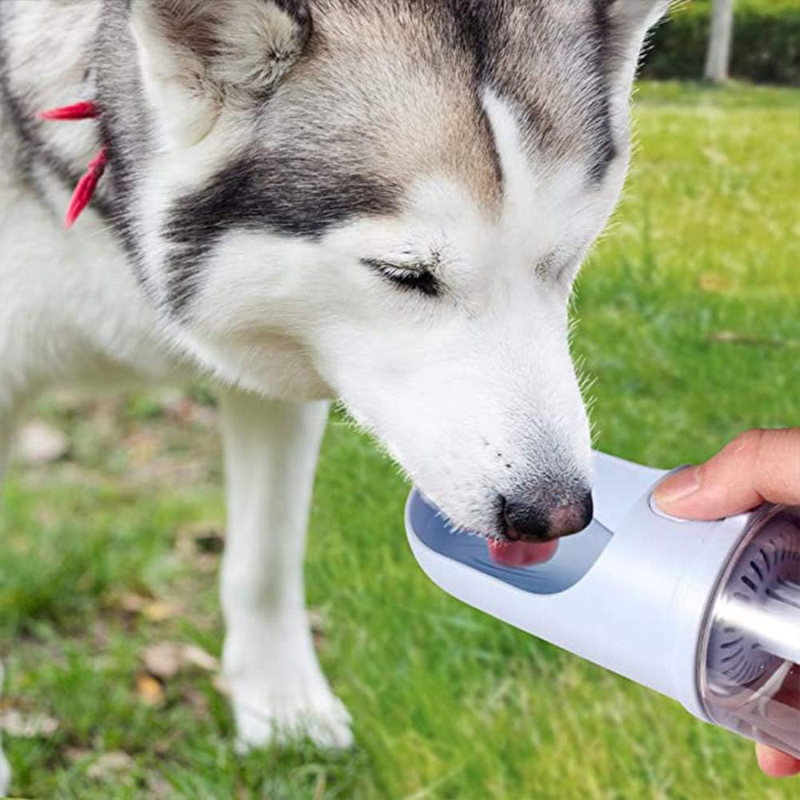 Portable Pet Travel Bottle