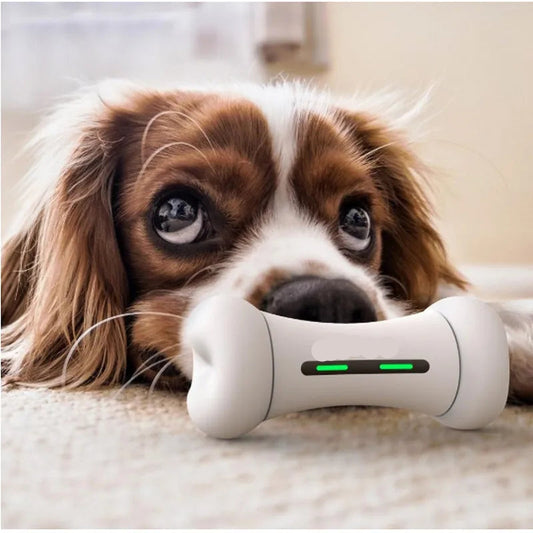 Blink Paw™ Robot Bone Toy
