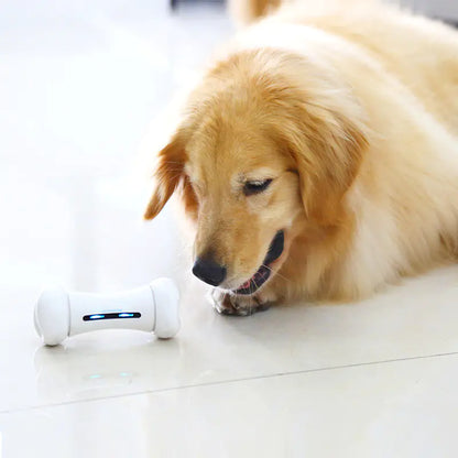 Blink Paw™ Robot Bone Toy
