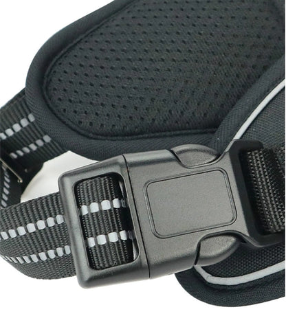 Blink Paw™ Waterproof Pet Harness