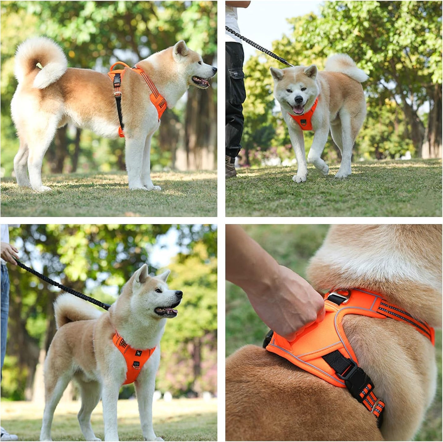 Blink Paw™ Waterproof Pet Harness