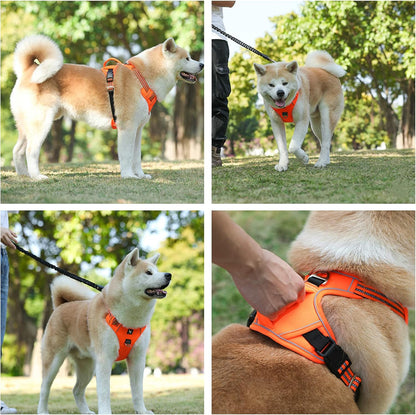 Blink Paw™ Waterproof Pet Harness