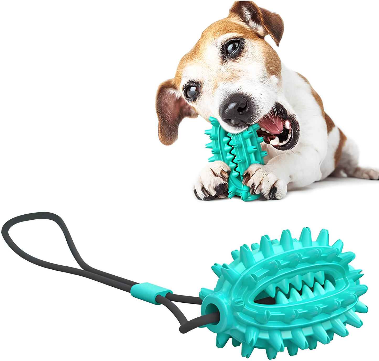 Blink Paw™ Dog Teeth Cleaner