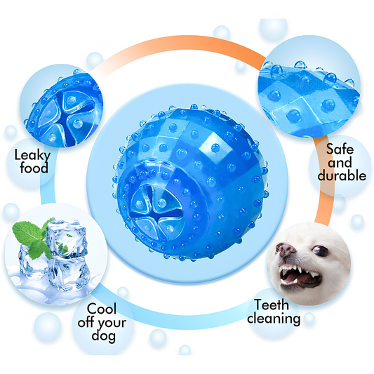 Blink Paw™ Smart Toy Ball