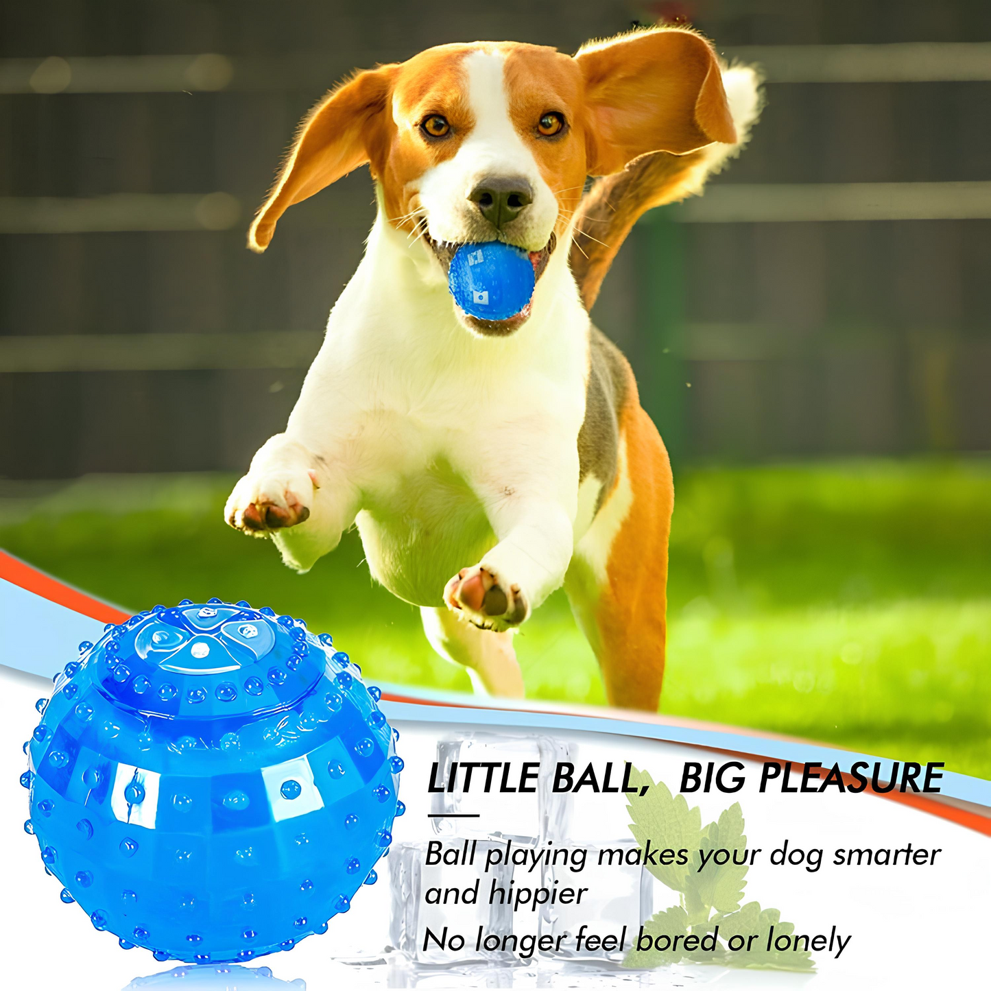 Blink Paw™ Smart Toy Ball