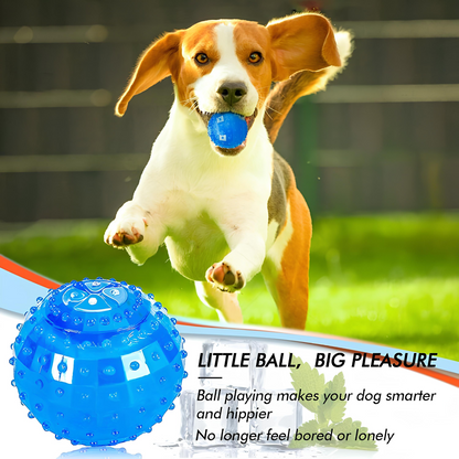 Blink Paw™ Smart Toy Ball