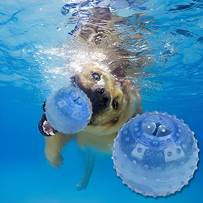 Blink Paw™ Smart Toy Ball