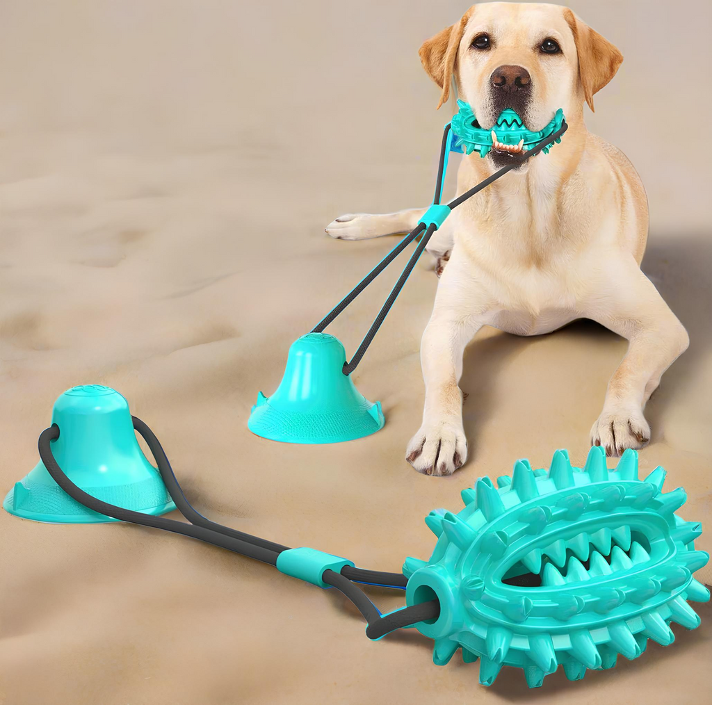 Blink Paw™ Dog Teeth Cleaner