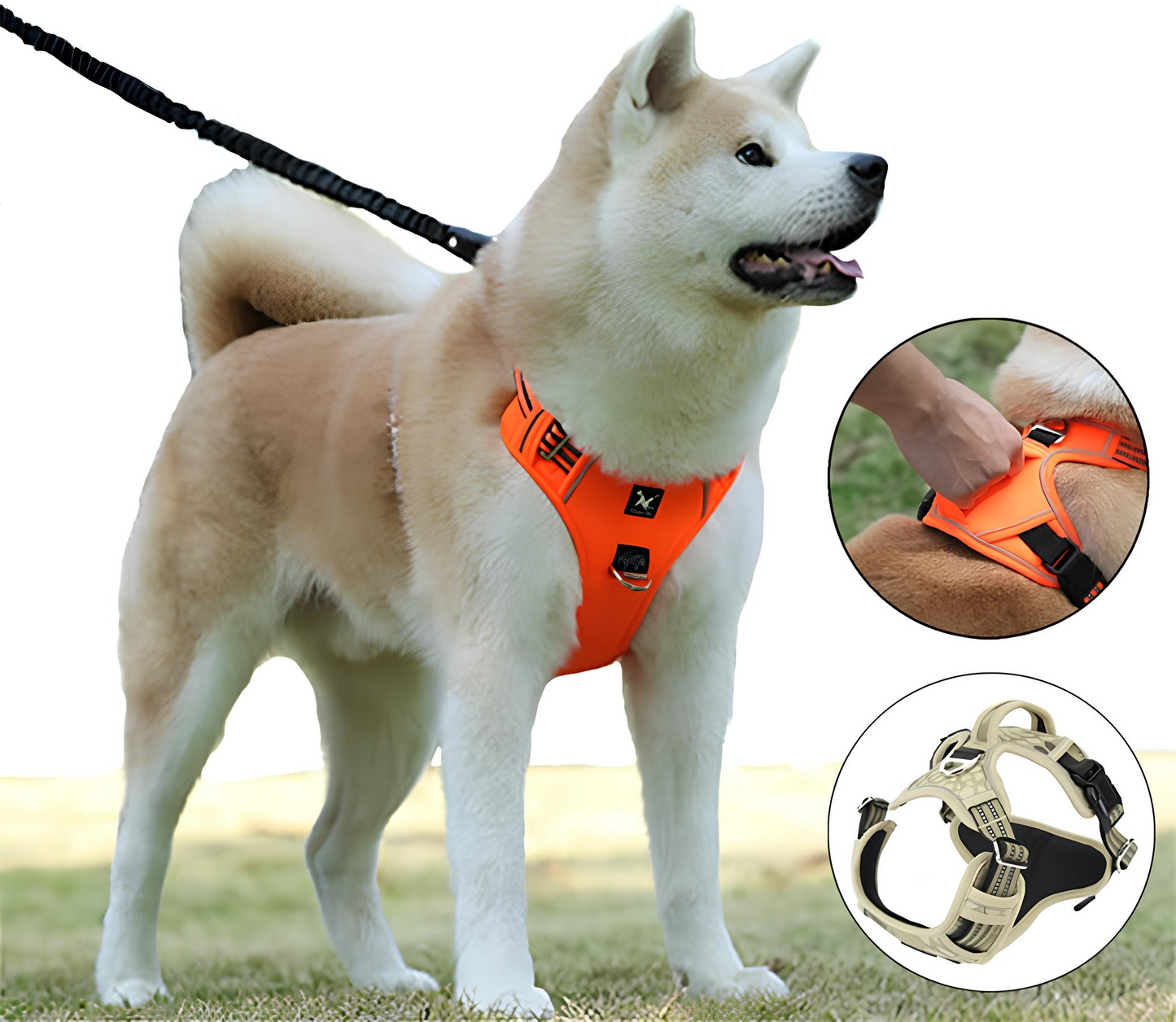 Blink Paw™ Waterproof Pet Harness
