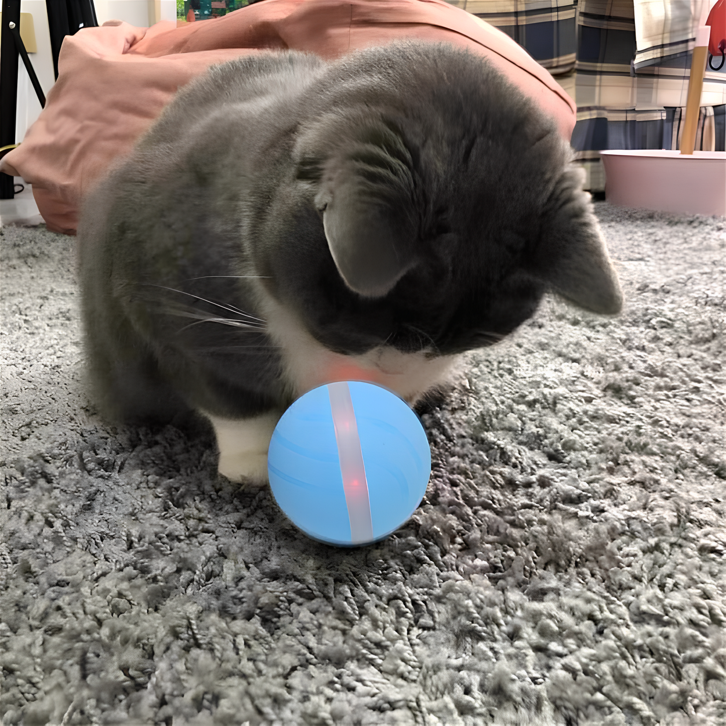 Blink Paw™ Smart Toy Ball
