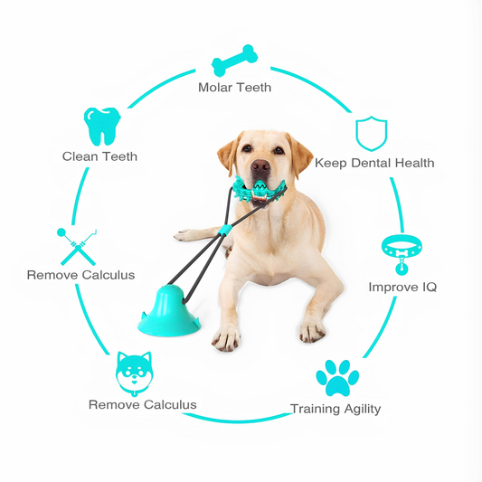 Blink Paw™ Dog Teeth Cleaner