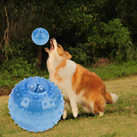 Blink Paw™ Smart Toy Ball