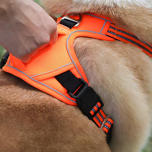 Blink Paw™ Waterproof Pet Harness