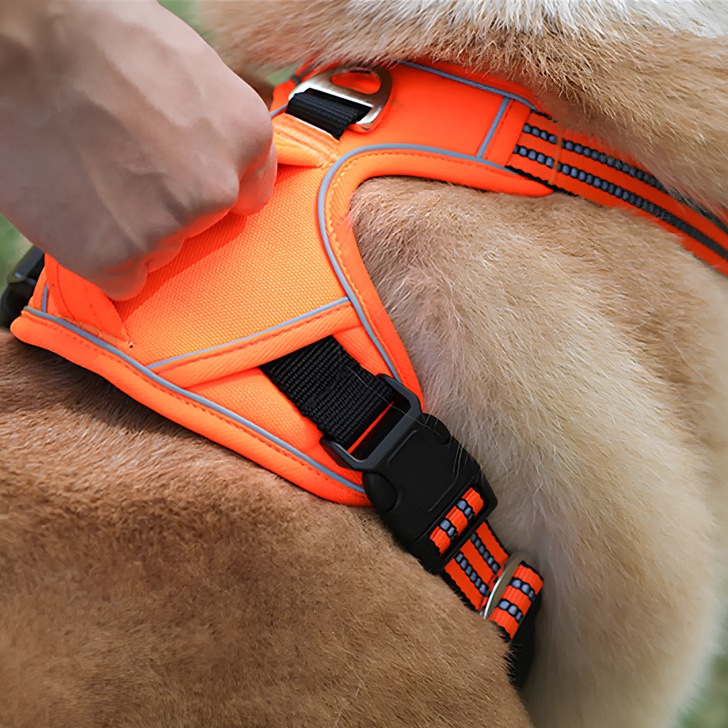 Blink Paw™ Waterproof Pet Harness