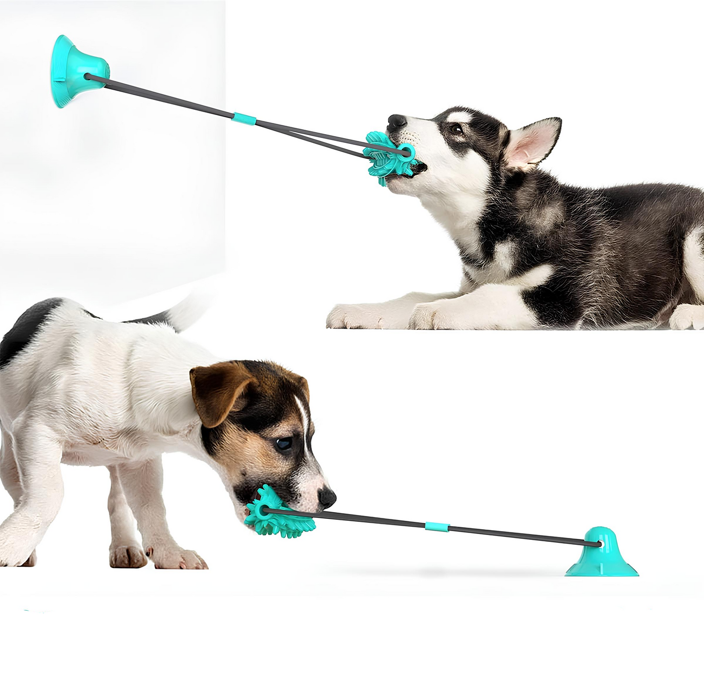 Blink Paw™ Dog Teeth Cleaner