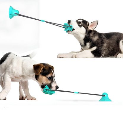 Blink Paw™ Dog Teeth Cleaner