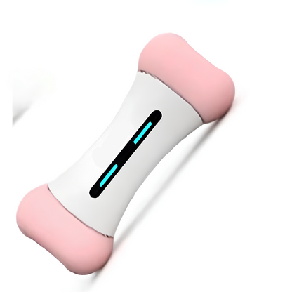 Blink Paw™ Robot Bone Toy