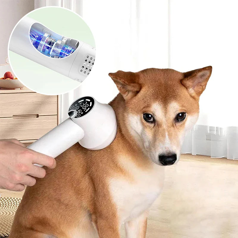 Blink Paw™ Grooming Dryer Brush