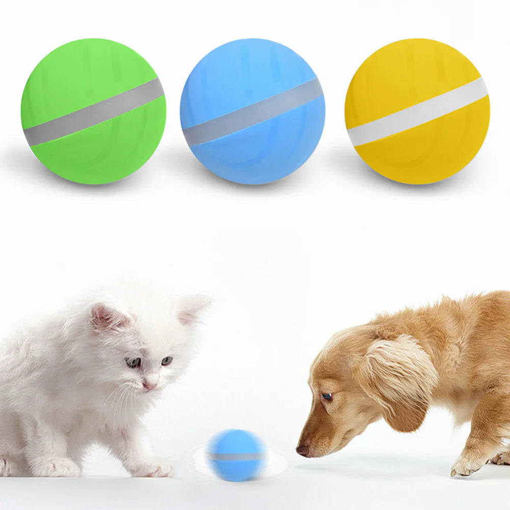 Blink Paw™ Smart Toy Ball